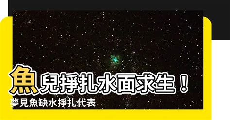 魚代表什麼|【魚代表什麼】揭秘魚兒們的秘密語言：從繁衍崇拜到如魚得水的。